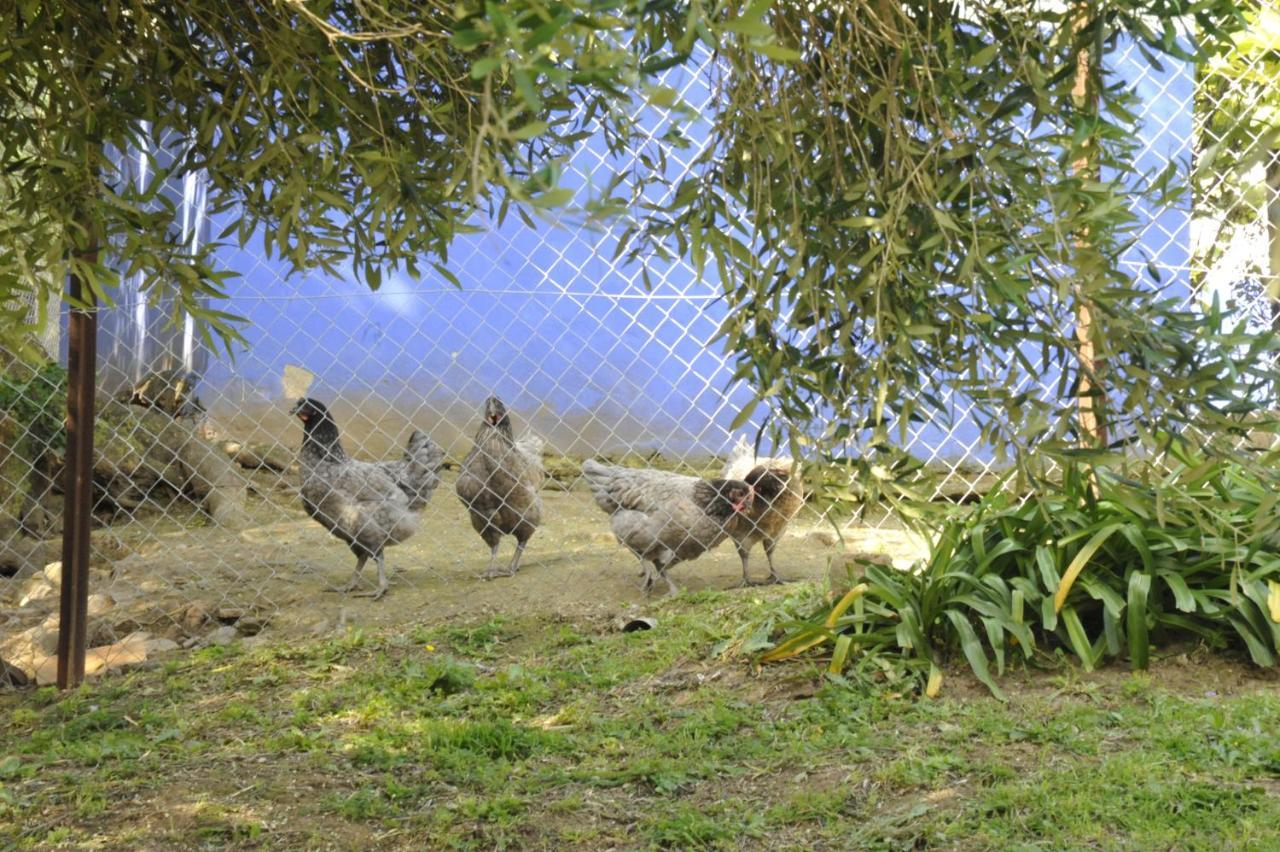 Finca La Cantarera Tarifa Exteriör bild