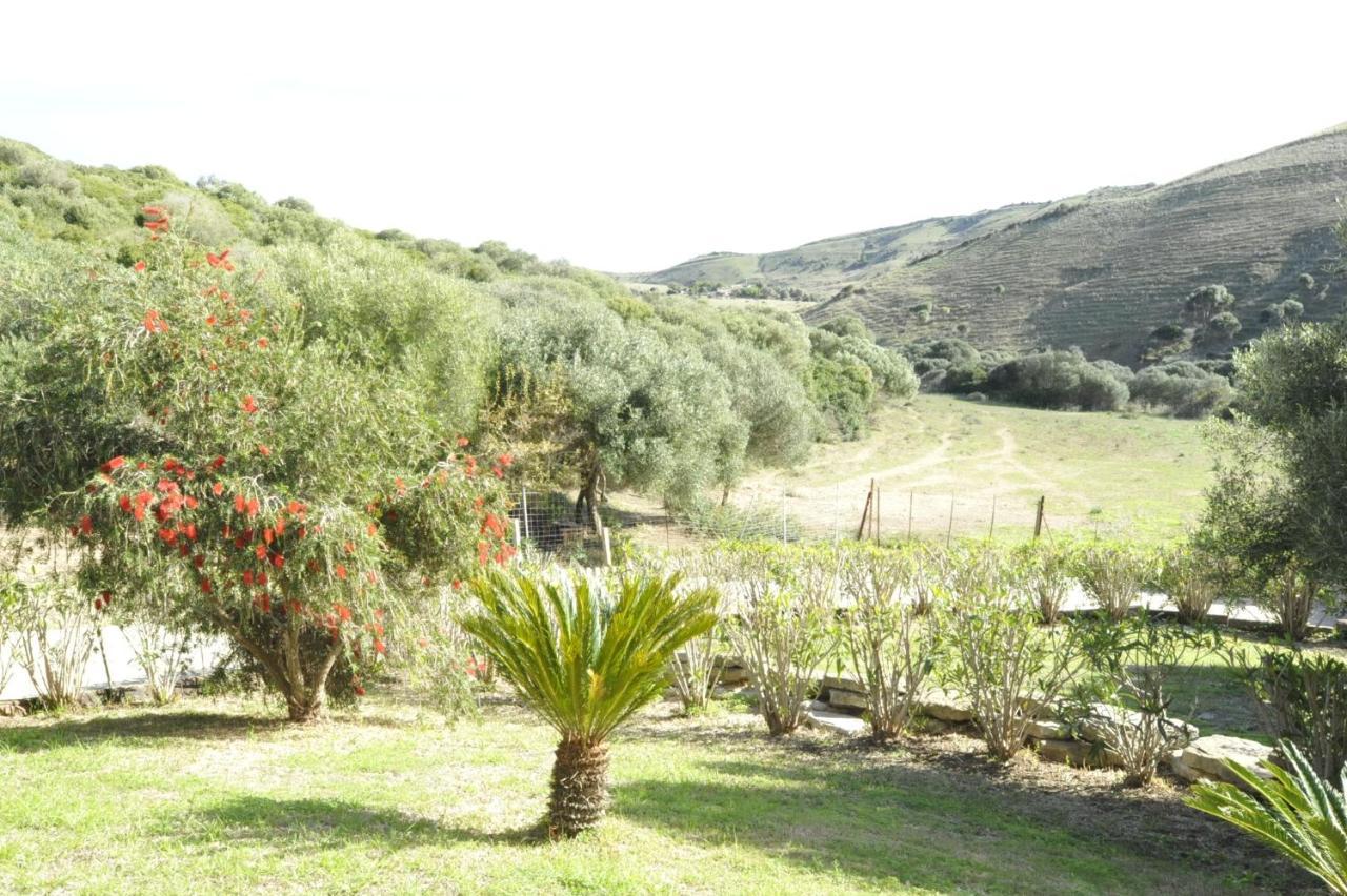 Finca La Cantarera Tarifa Exteriör bild
